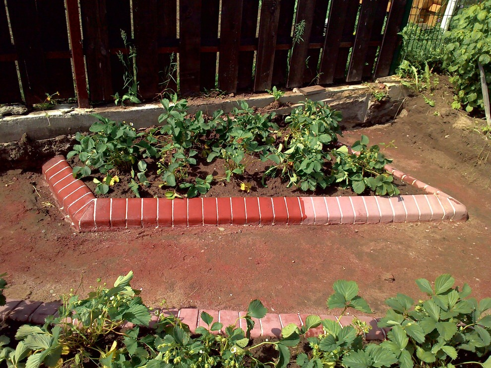 Клумба -грядка