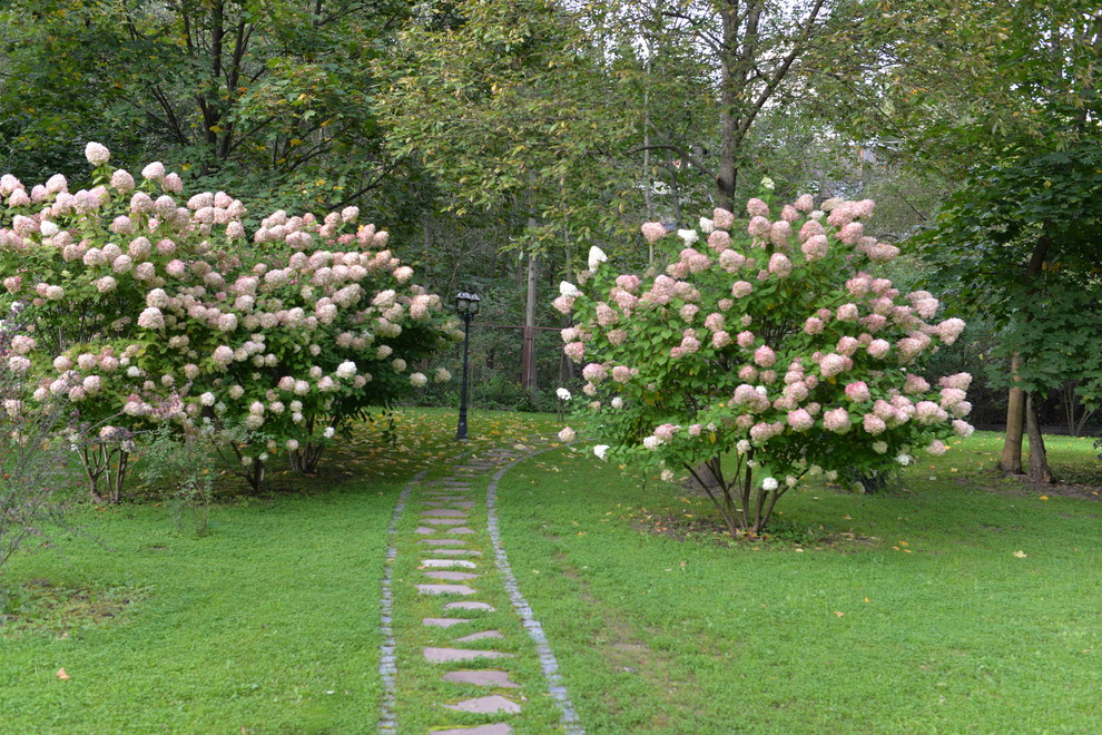Спустя 8 лет. Переделкино