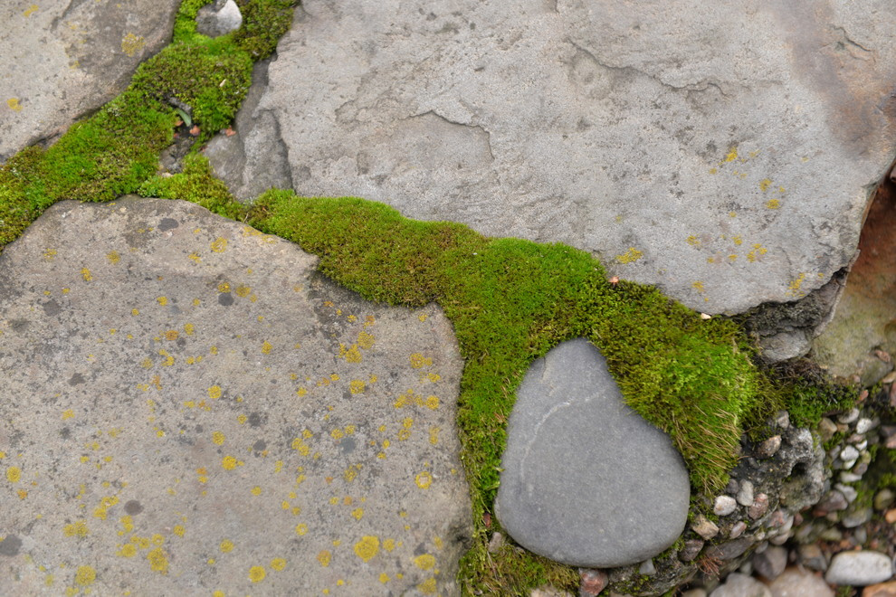 Спустя 8 лет. Переделкино