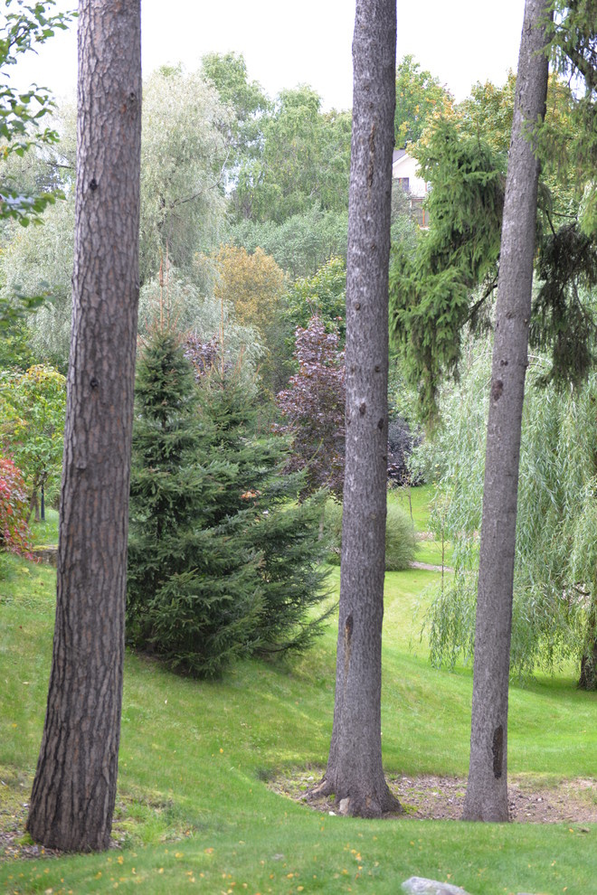 Спустя 8 лет. Переделкино