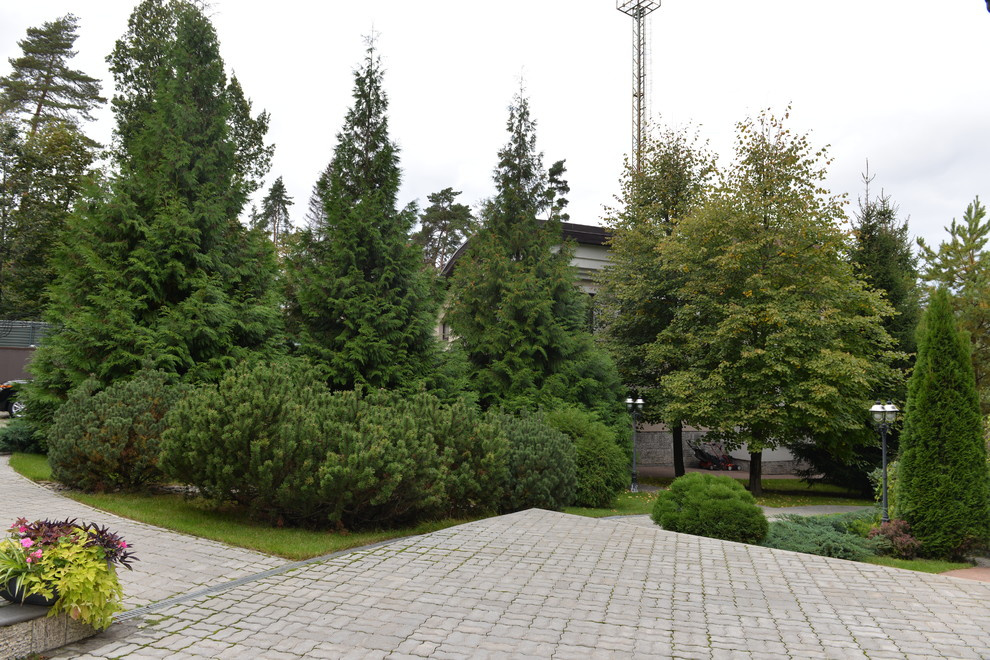 Спустя 8 лет. Переделкино