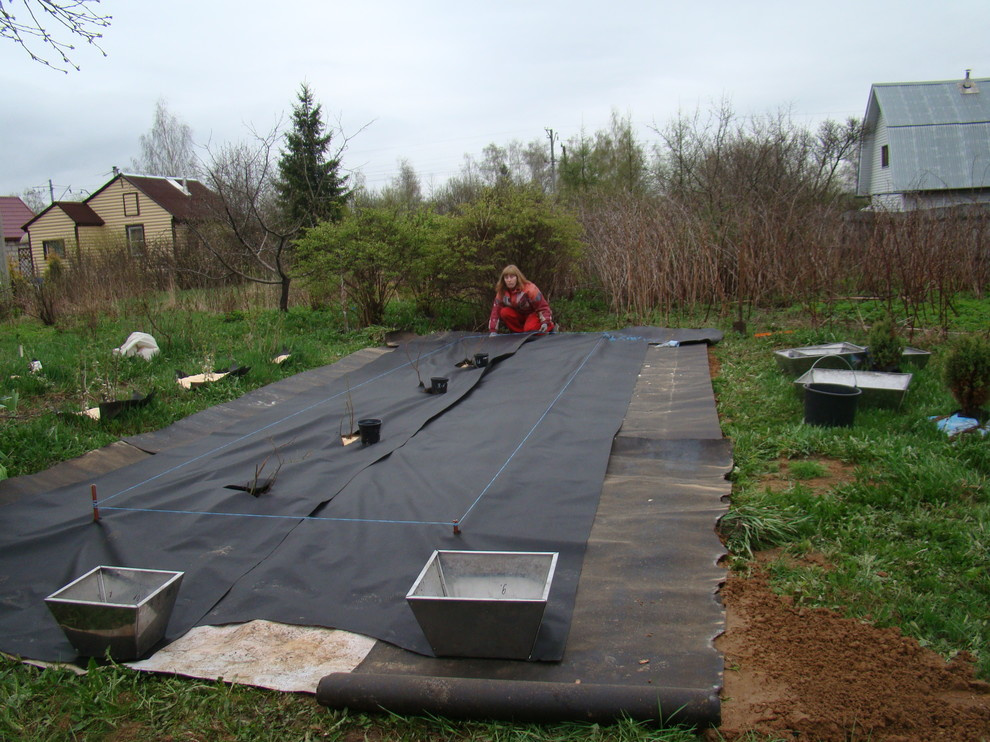 МОДУЛЬНЫЙ ЭКО- ОГОРОД ЗА 1 ЧАС