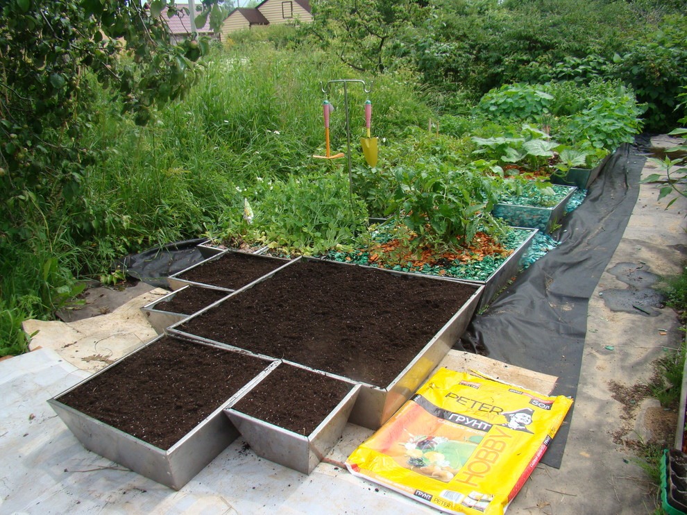 Обложка проекта: МОДУЛЬНЫЙ ЭКО- ОГОРОД ЗА 1 ЧАС