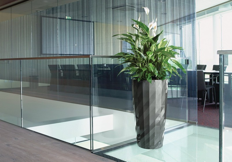 Спатифиллум в кашпо Diamante