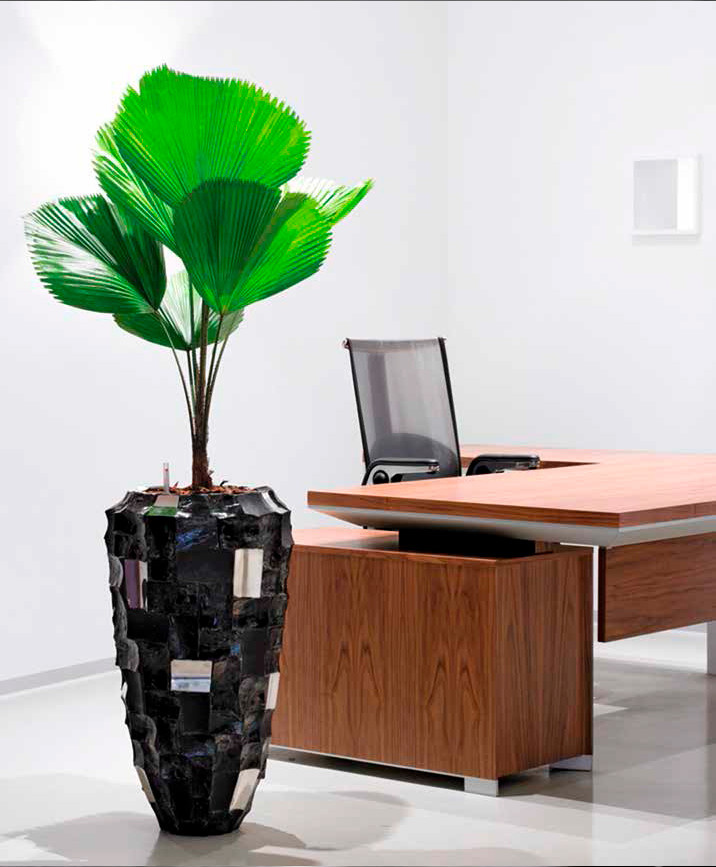 Композиция с комнатными растениями