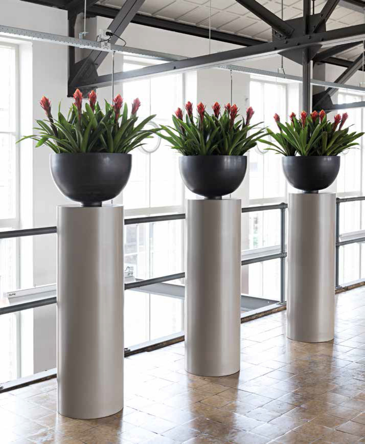 Композиции с комнатными растениями