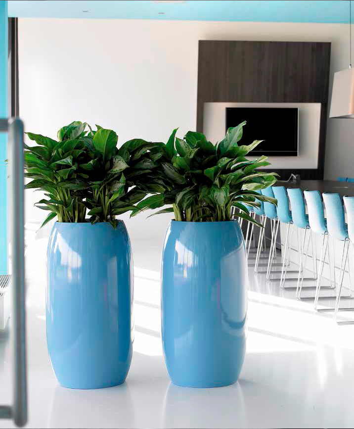 Композиции с комнатными растениями