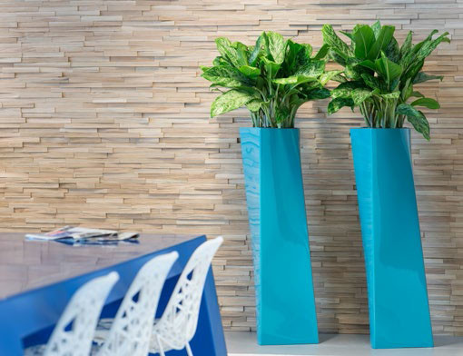 Композиции с комнатными растениями