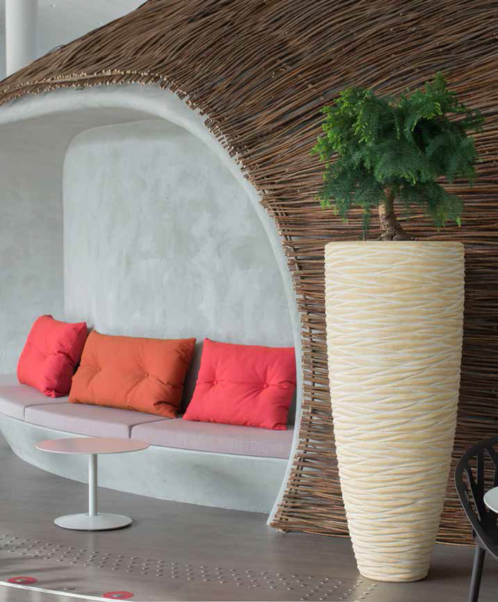 Композиции с комнатными растениями