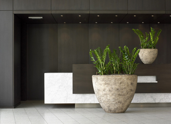 Композиции с комнатными растениями