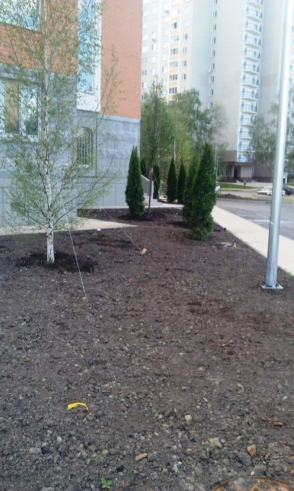 Портфолио