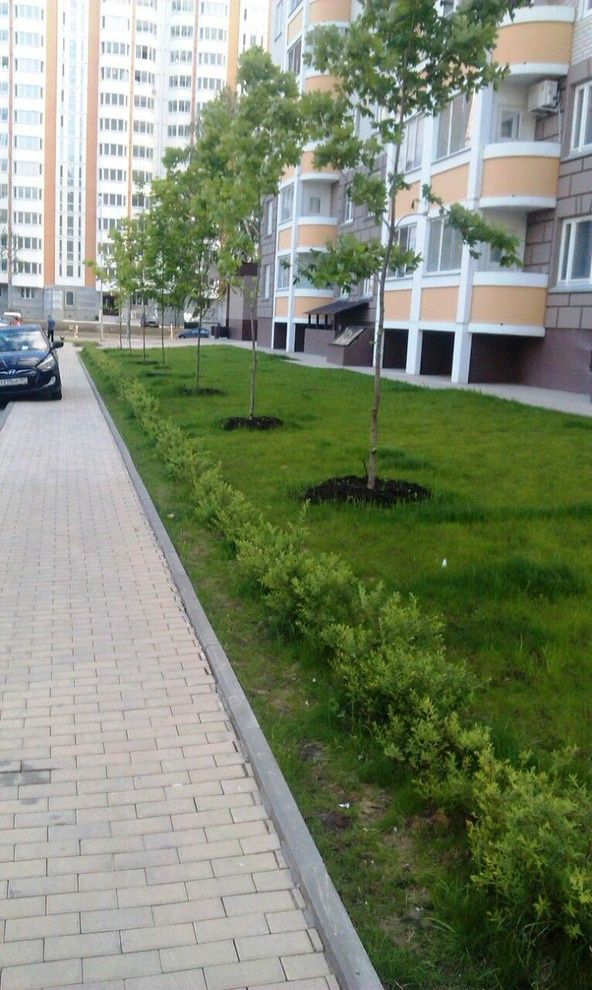 Портфолио
