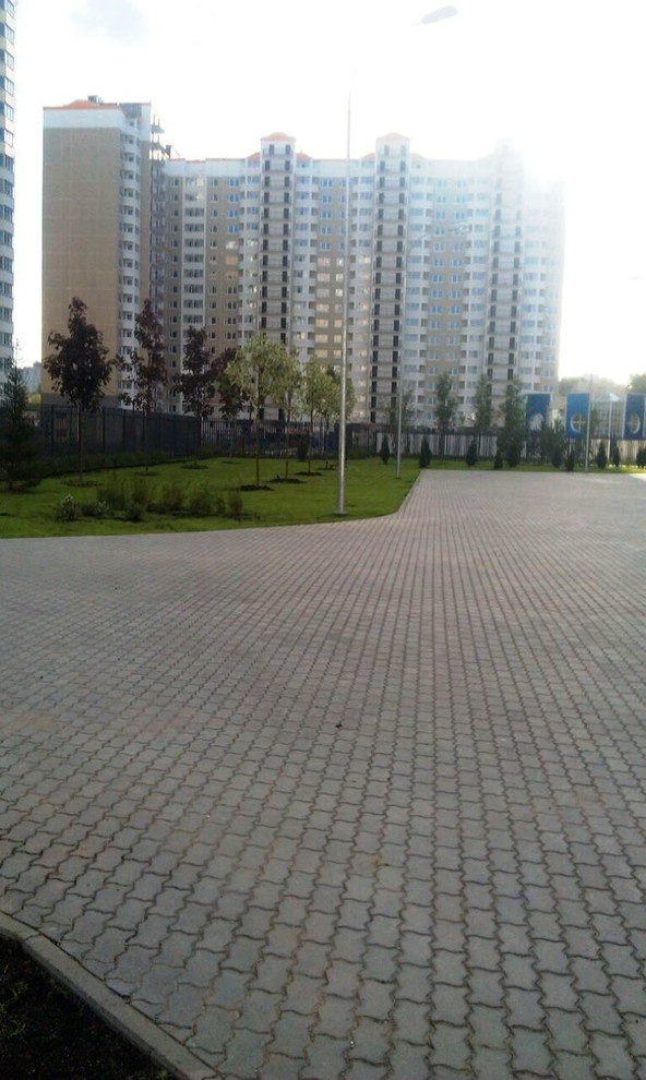 Портфолио