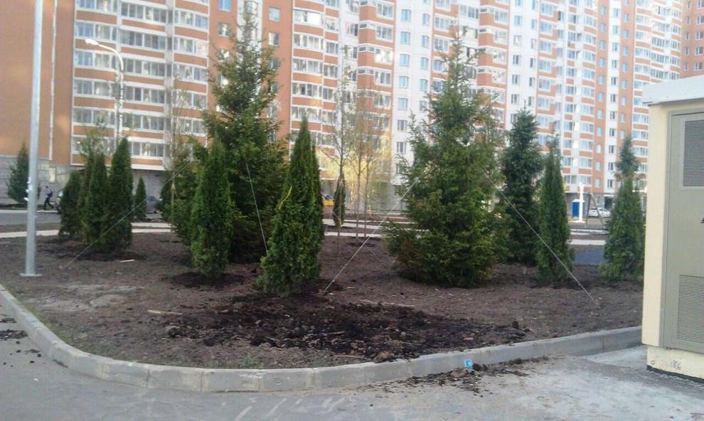 Портфолио