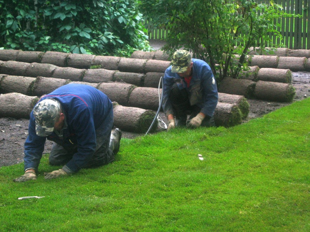 Портфолио