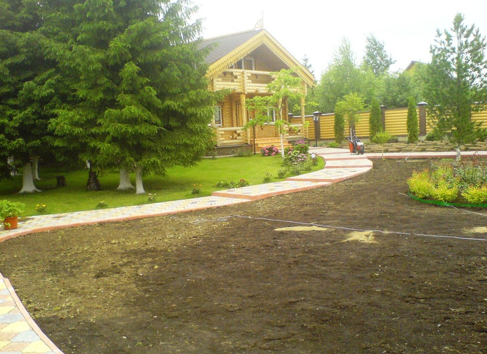 Портфолио