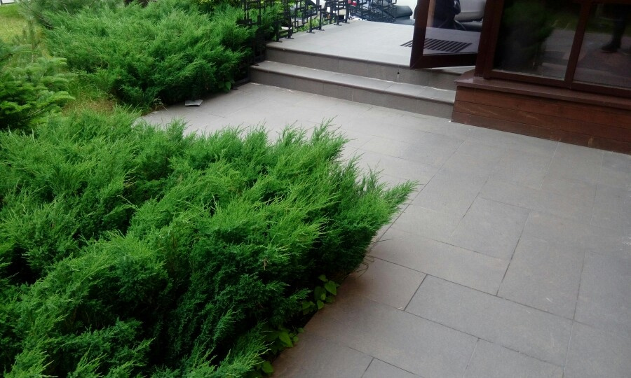 Сад для друзей