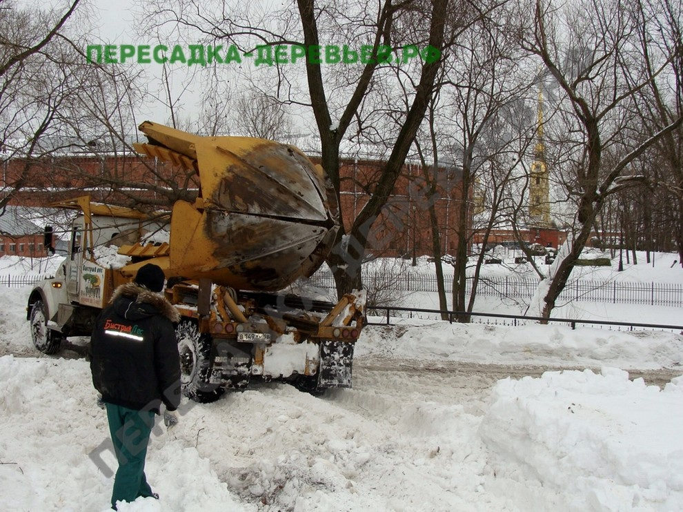 Обложка проекта: Посадка и пересадка крупномерных деревьев