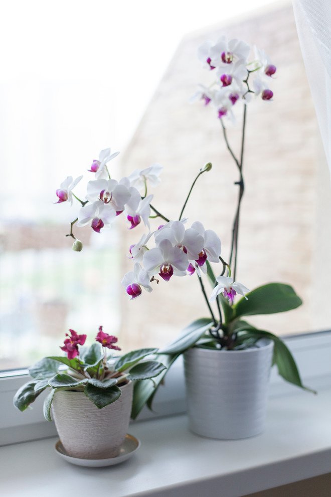 В гостях: Небольшая квартира для семейной пары