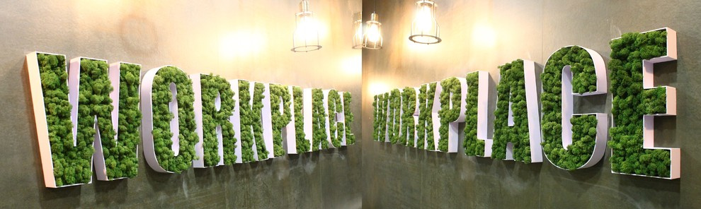 Обложка проекта: Houzz в Workplacesib 12.10.2016, Новосибирск, ул. Декабристов, 41, секция В