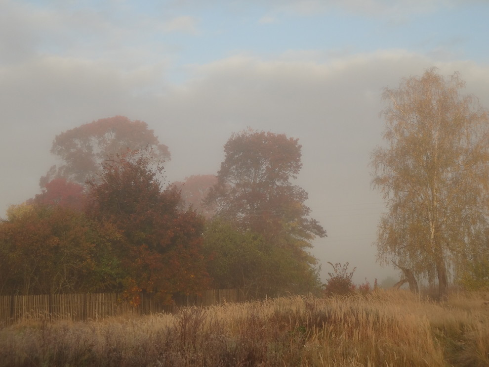 Обложка проекта: Минидом М60 под Рязанью