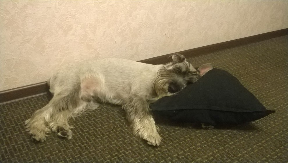 Коридор