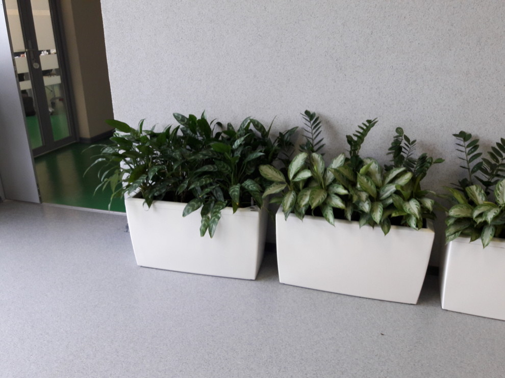 Наши работы
