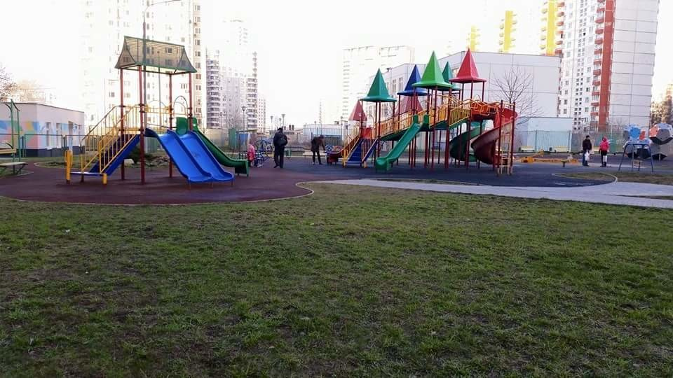 Портфолио