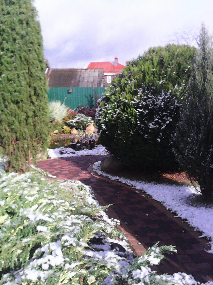 Хвойная идиллия