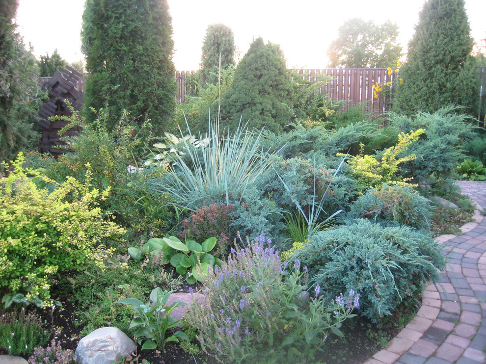 Хвойная идиллия