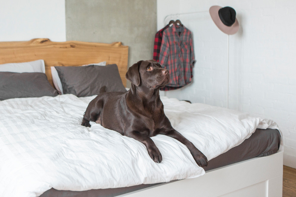 В гостях: Лофт с панорамными окнами и видом на Лосиный остров