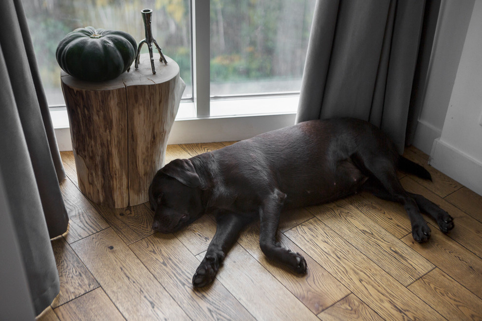 В гостях: Лофт с панорамными окнами и видом на Лосиный остров