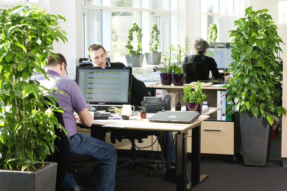 Озеленение интерьеров