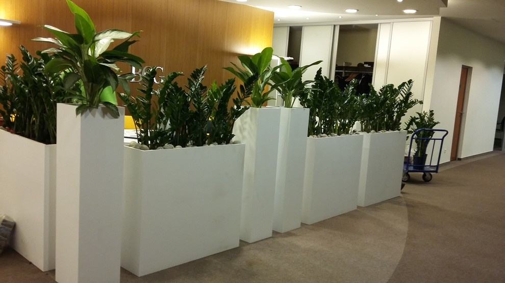 Озеленение интерьеров