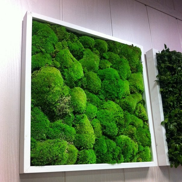 Озеленение интерьеров