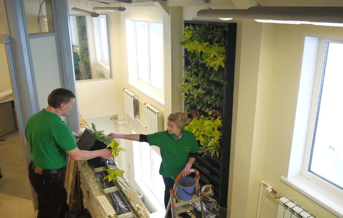 Озеленение интерьеров