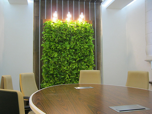 Озеленение интерьеров