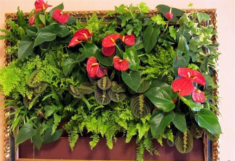 Озеленение интерьеров