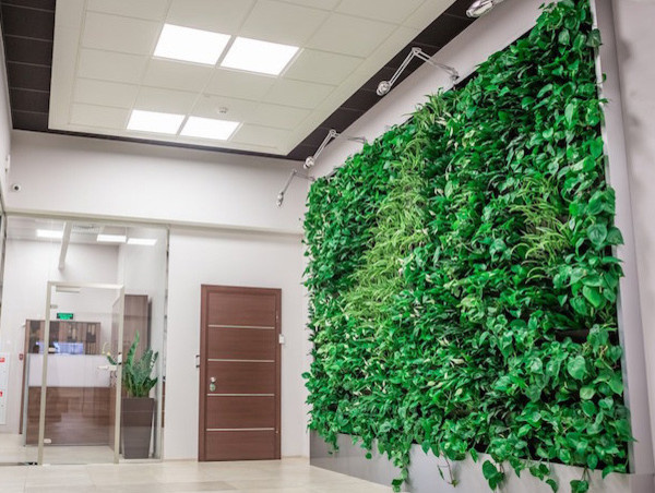 Озеленение интерьеров