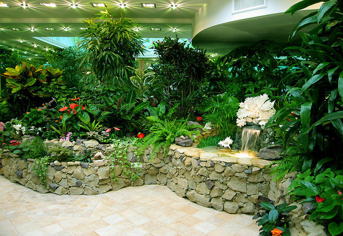 Озеленение интерьеров