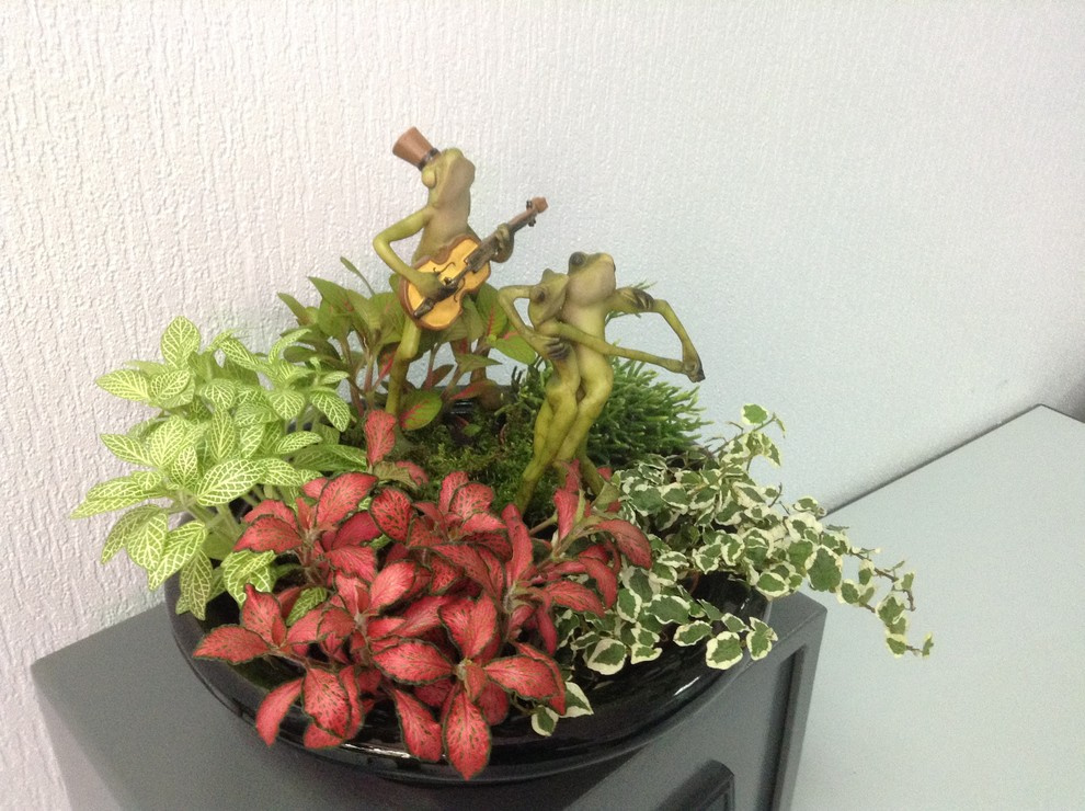 Озеленение интерьеров