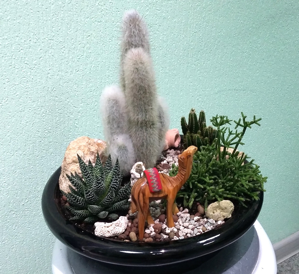 Озеленение интерьеров