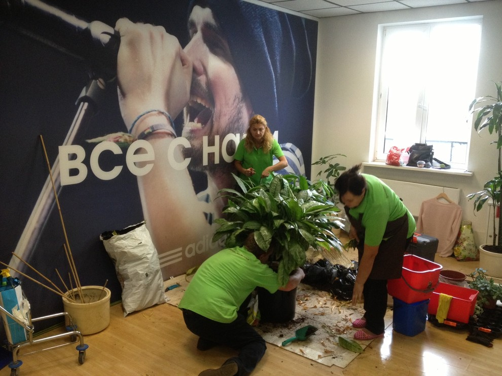 Озеленение интерьеров