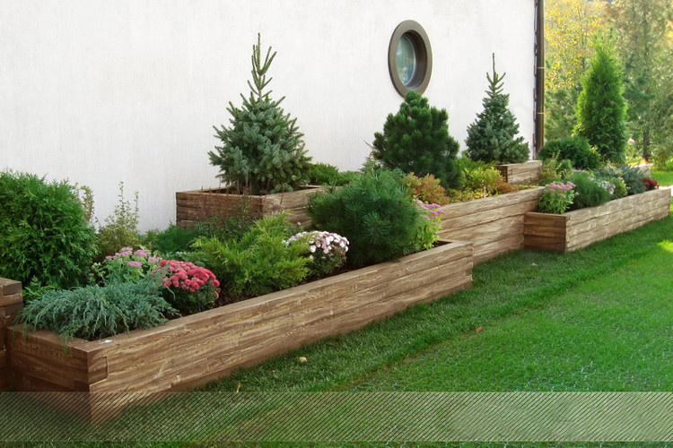 сервис и уход за растениями