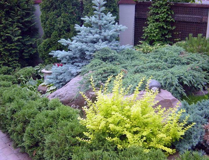 сервис и уход за растениями