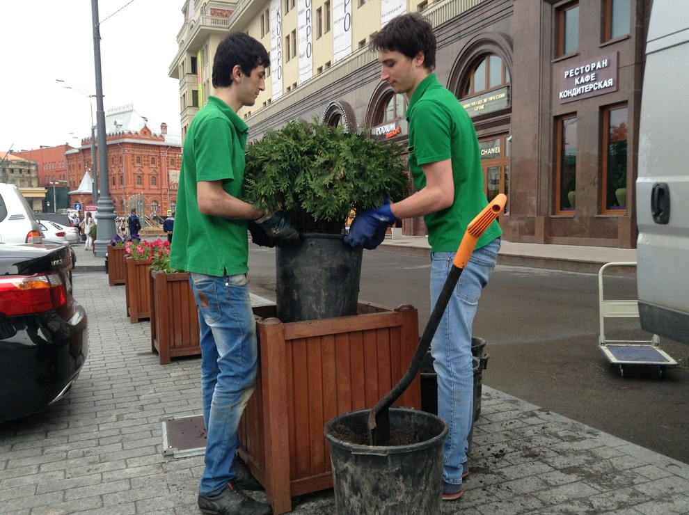 сервис и уход за растениями