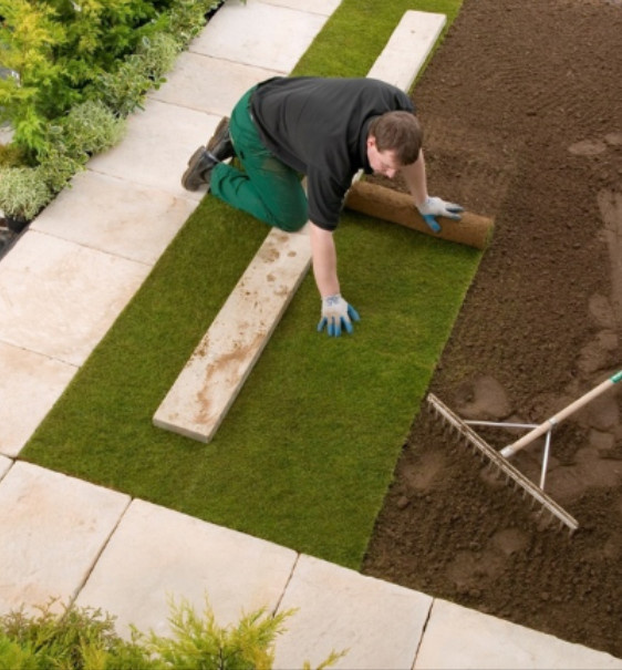 сервис и уход за растениями