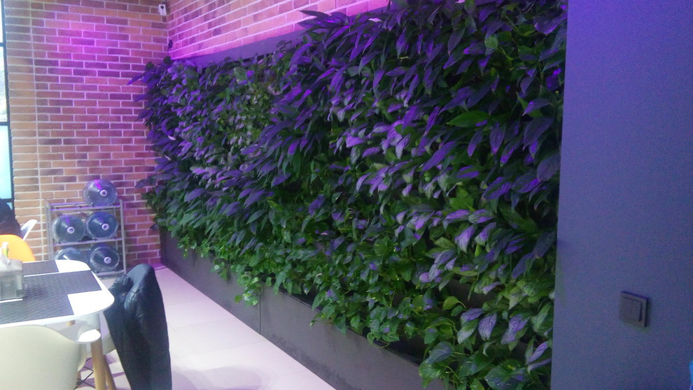 Озеленение офиса