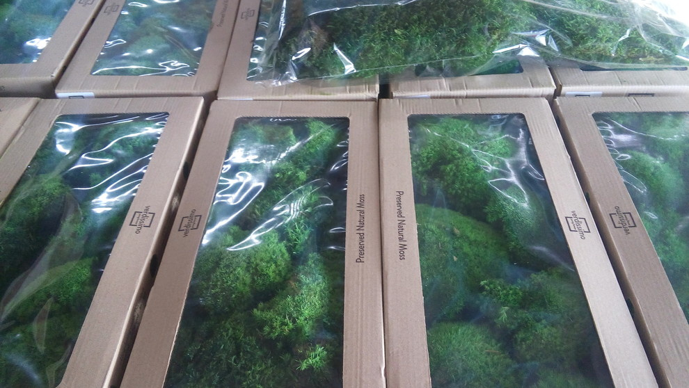 Озеленение офиса