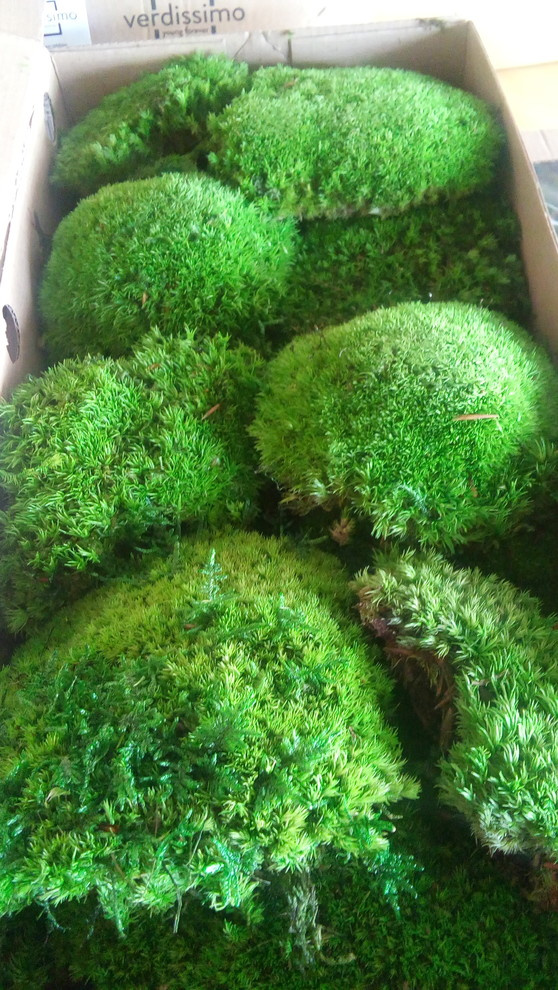 Озеленение офиса